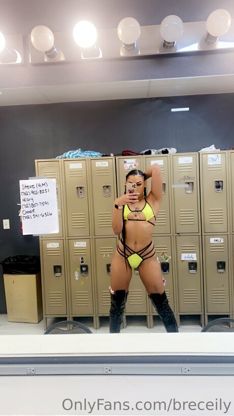 Breceily art model archive