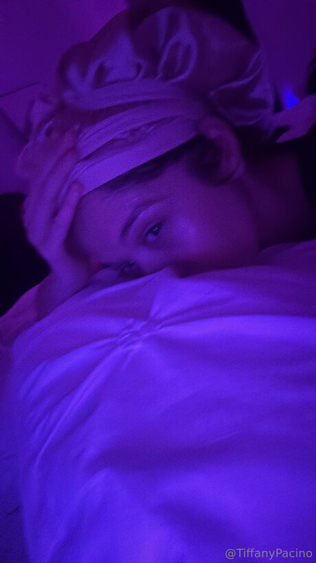 Discotacos model top image