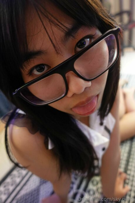 Sky Gemi model high quality pic