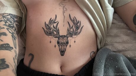 Charleygrayfree nude model photo