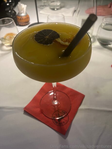 Vikisadventures model perfect images