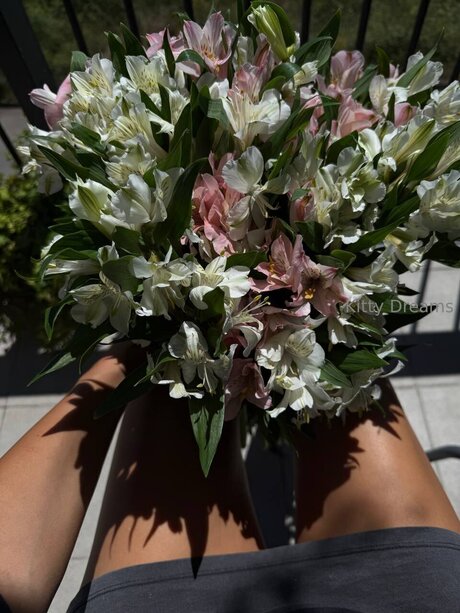 Kitty Dreams Vip nude pornstar photos