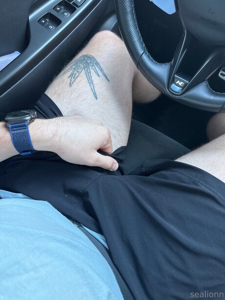 Emsealion high quality model picture