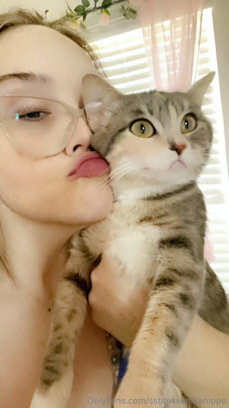 Ssbbwvanillahippo perfect star images