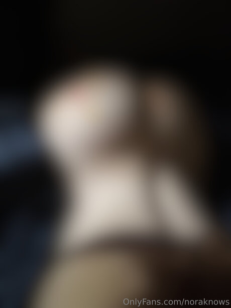 Noraknows free pornstar photos