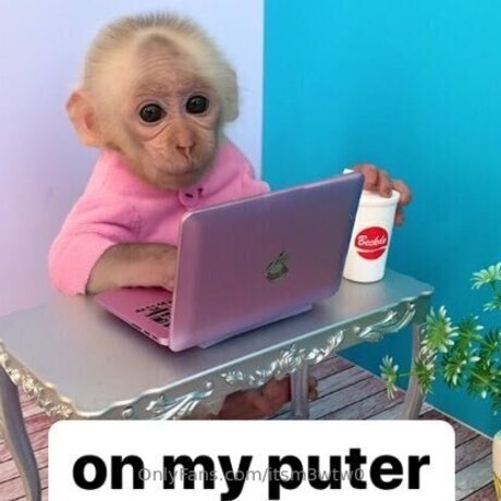 Itsm3wtw0 pornographic actress gallery