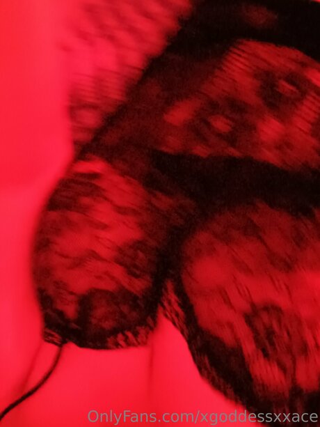 Gothicxxgamer hd star archive