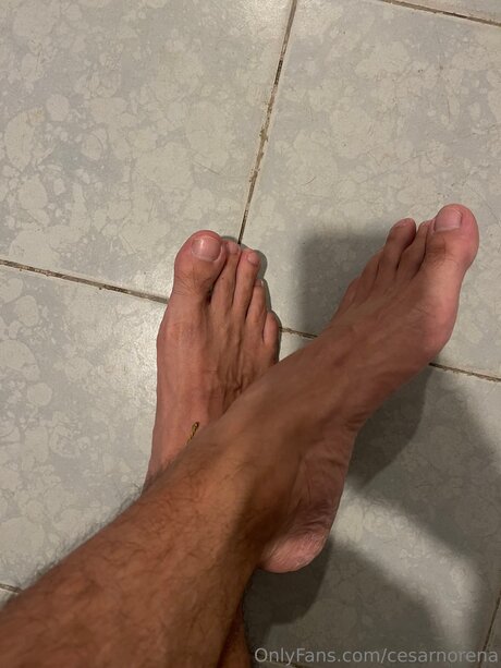 Cesarnorena nudes pornstar galleries