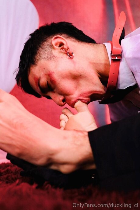 Duckling Cl pornstar erotic images