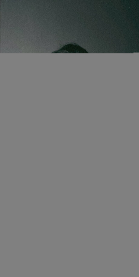 Twisted Gem pornstar art photos