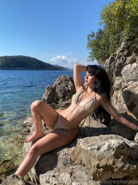 Sidneyharada free star archive