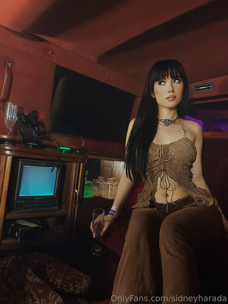 Sidneyharada erotic star photos