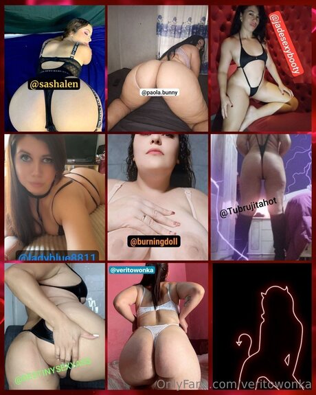 Veritowonka top model img