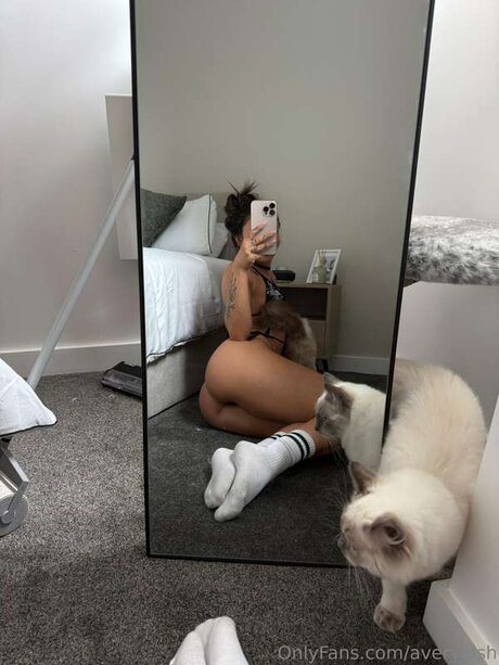 Averyelsh pornstar nice photo