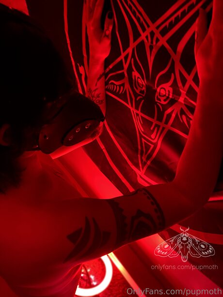 Pupmoth hd model pics