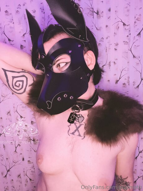 Pupmoth beautiful pornstar galleries