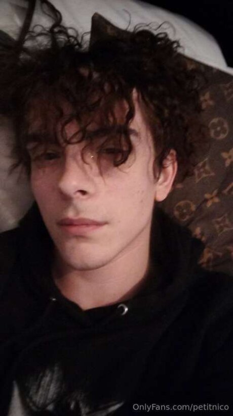 Petitnico star nice image