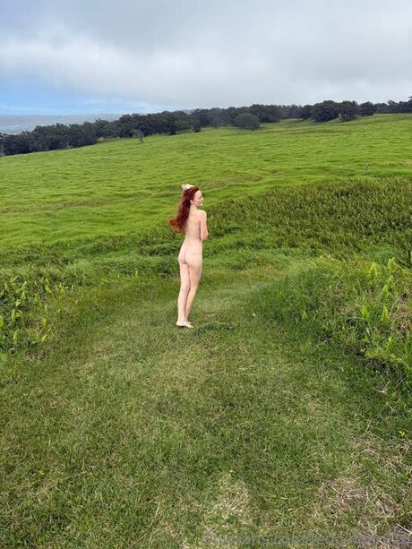 Redginger018 star beautiful gallery