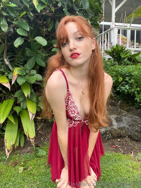 Redginger018 star nice galleries