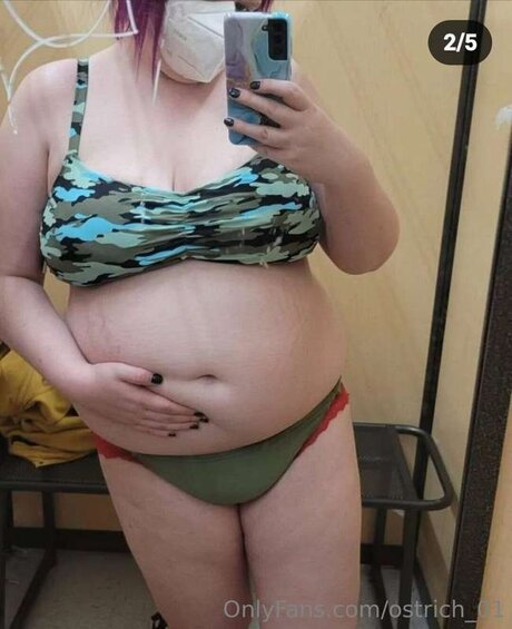 Ostrich 01 star adult pictures