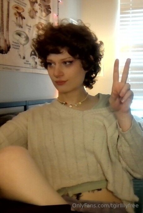 Tgirllilyfree naked pornstar galleries