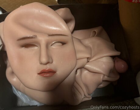 Cozyhosts pornstar perfect image