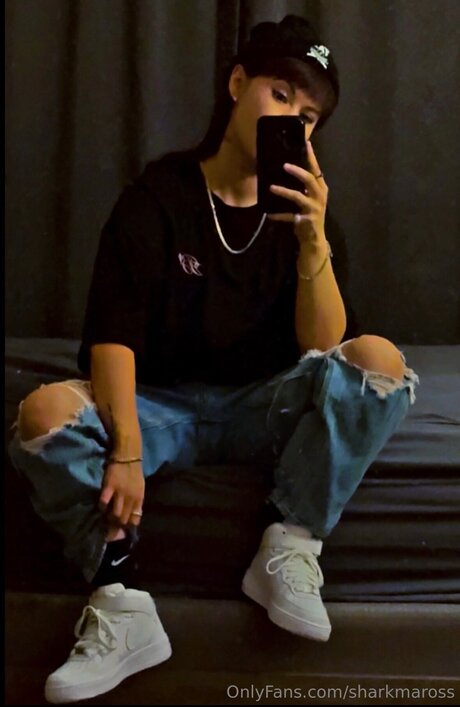 Sharkmaross star high quality image