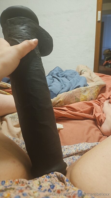 Sierrarebelxxx pornstar erotic images