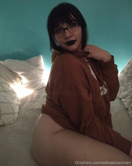 Willowchantrieri pornstar erotic pics