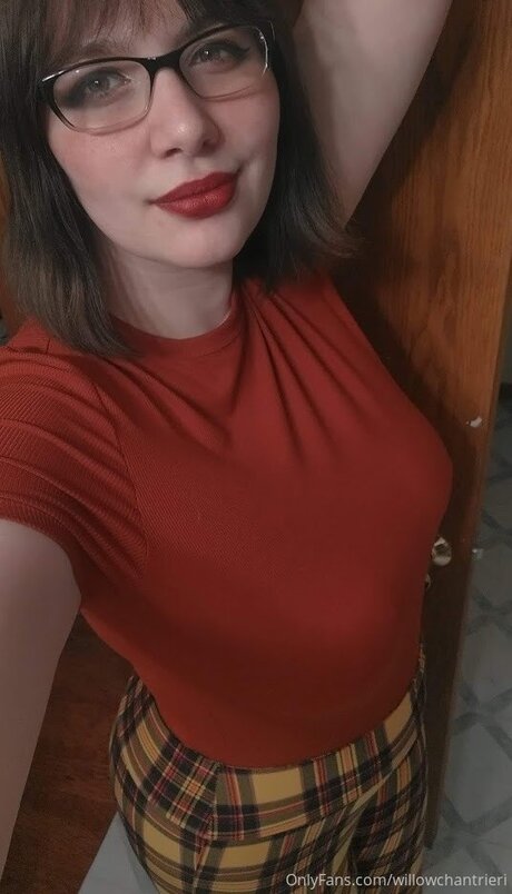 Willowchantrieri model free photos