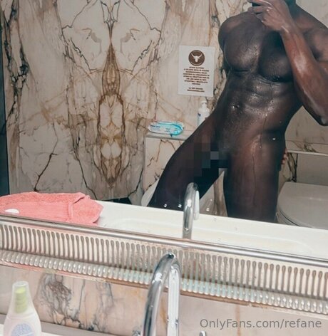 Refane model top img