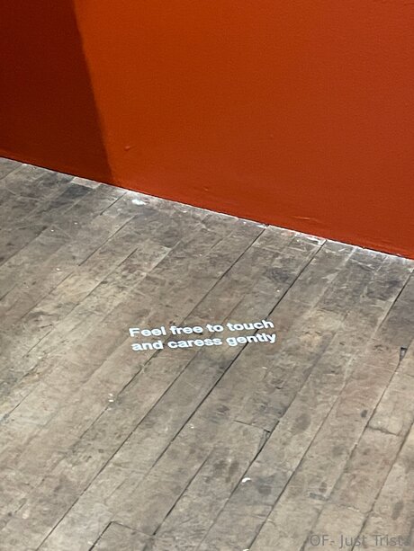 Tristamariemcg star porn img