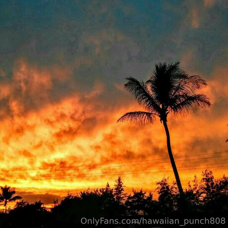 Hawaiian Punch808 beautiful pornstar images