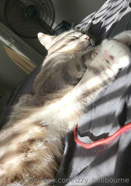 izzy hellbourne model high quality images