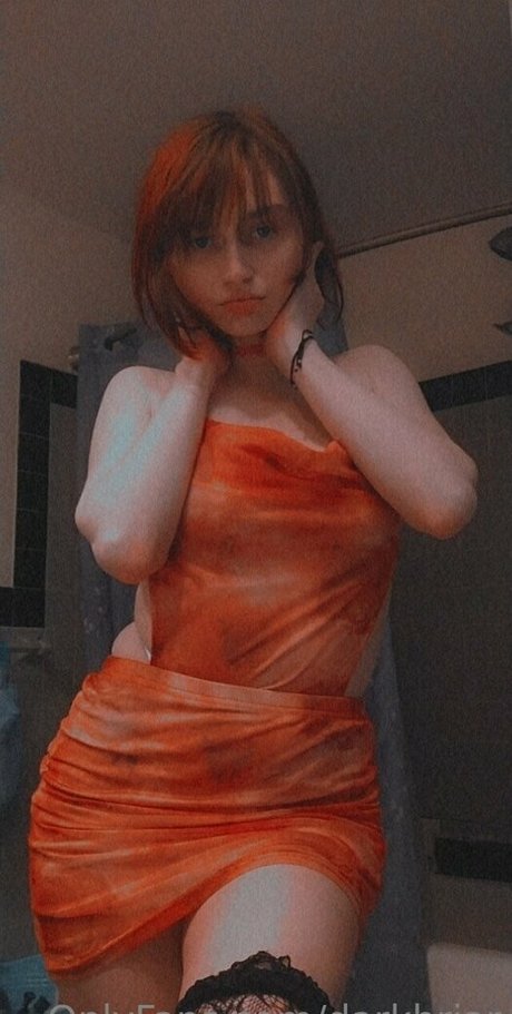 darkbriar star free archive