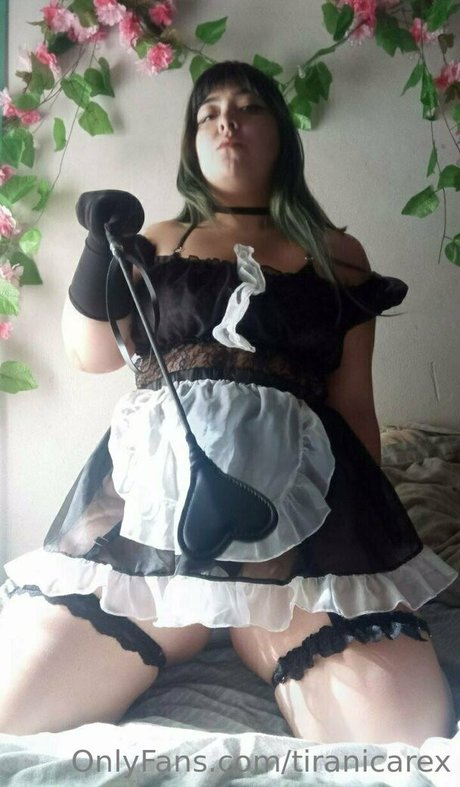 tiranicarex pornstar nice galleries