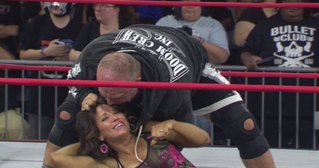 Mickie James art actress picture