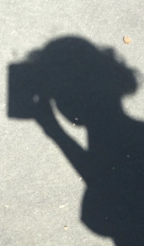 Breannacyoung model adult pictures