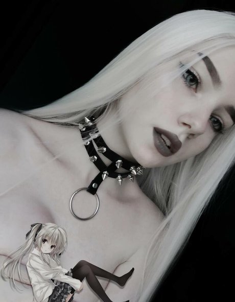 Vell Felice Profile pic