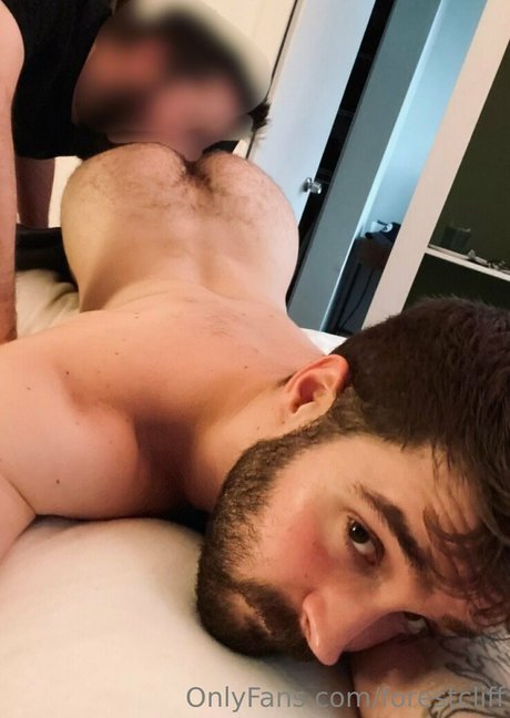 forestcliff model high quality img