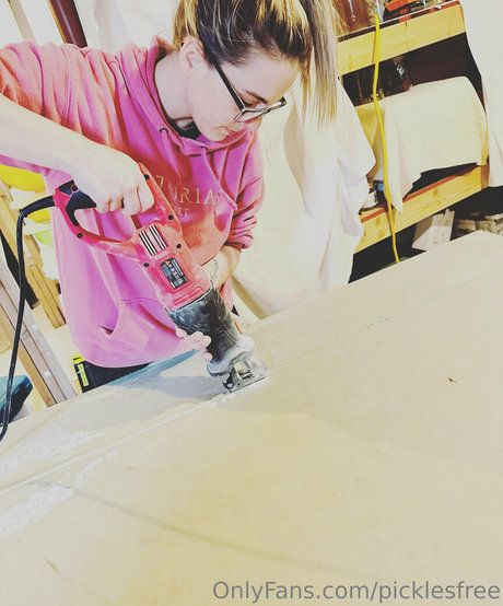 picklesfree top model archive