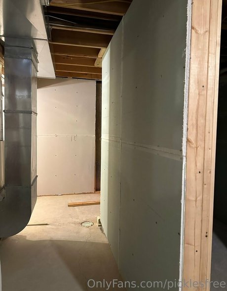 picklesfree nude model galleries