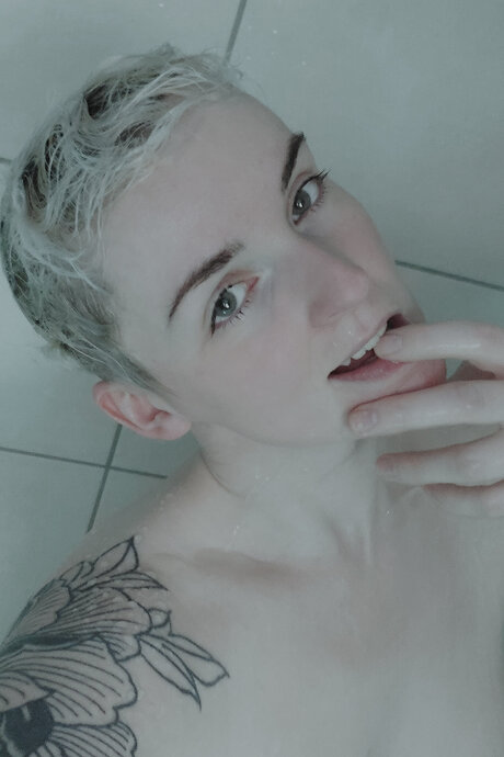 Freenightchrysanth sexy star images