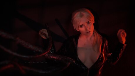 Freenightchrysanth model picture