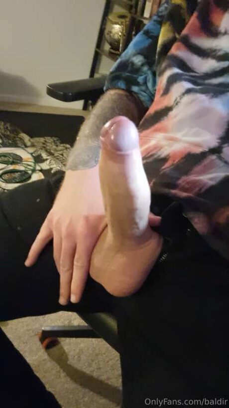 Baldir pornographic actress galleries