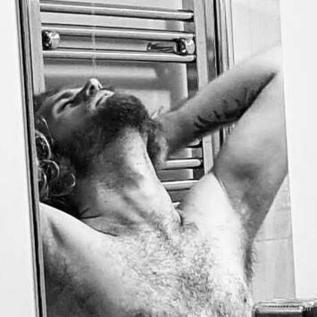 Baldir pornstar adult pic