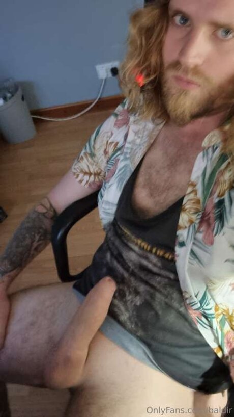 Baldir art star images