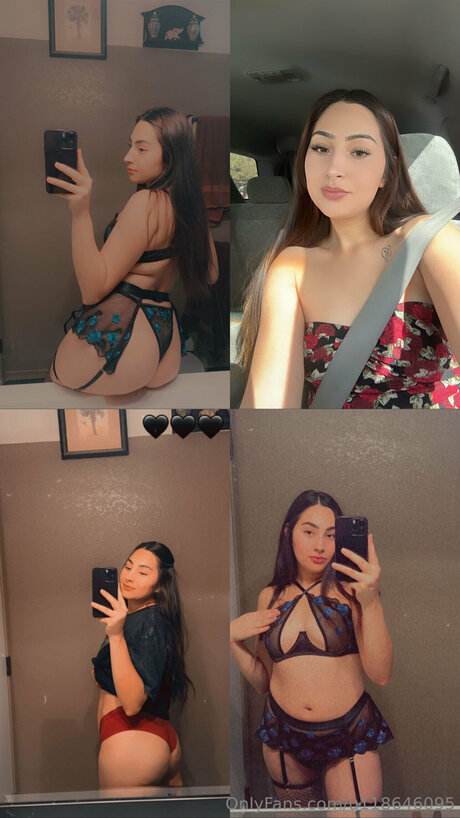 U118646095 star free galleries