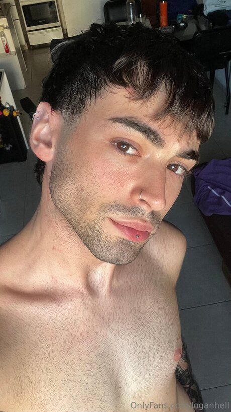 Loganhell beautiful star gallery