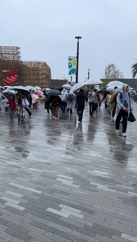 Himitsuchan perfect model images